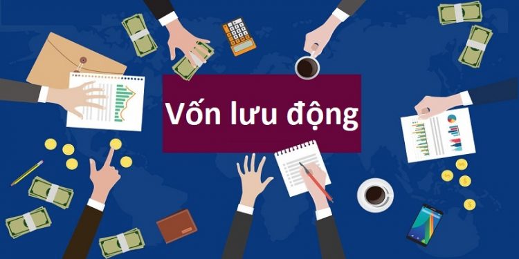 Von-luu-dong-la-gi