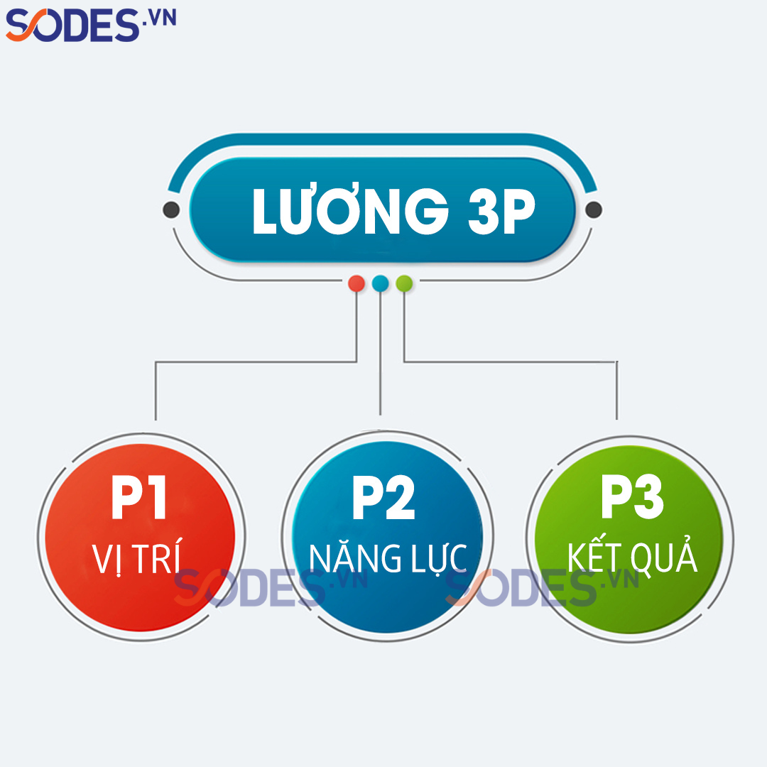 cac-hinh-thuc-tra-luong-pho-bien