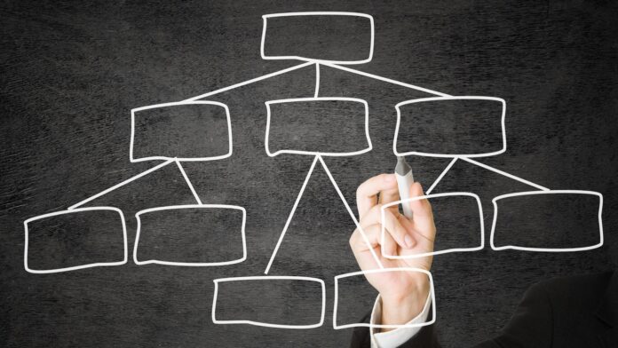 so-do-to-chuc-cong-ty