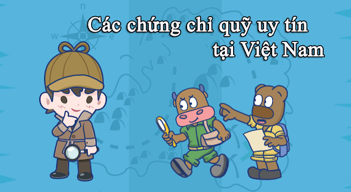 chung-chi-quy-la-gi